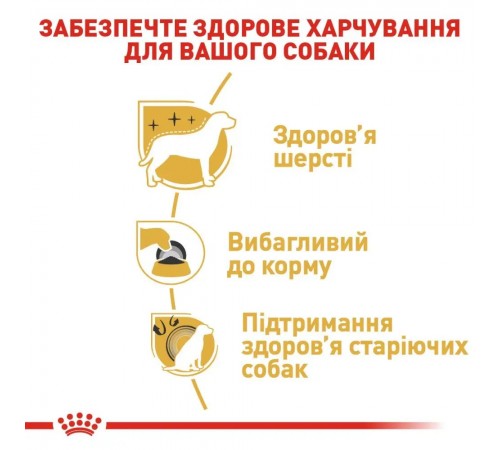 Сухий корм для собак Royal Canin Yorkshire Terrier Adult 500 г