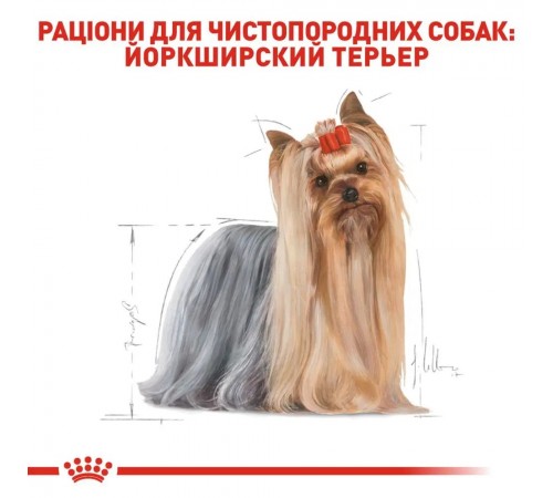 Сухий корм для собак Royal Canin Yorkshire Terrier Adult 500 г