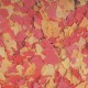 Сухий корм для акваріумних риб Tropical в пластівцях «Ovo-Vit» 1 л (для всіх акваріумних риб)