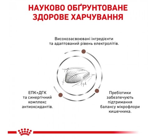 Сухий корм для котів Royal Canin Gastro Intestinal 2 кг