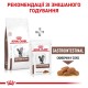 Сухий корм для котів Royal Canin Gastro Intestinal 2 кг