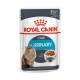 Вологий корм для котів Royal Canin Urinary Care Gravy pouch 85 г