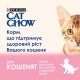 Вологий корм для кошенят Cat Chow Kitten pouch 85 г (ягня та кабачок)