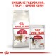 Сухий корм для котів Royal Canin Fit 32, 400 г