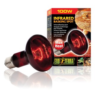 Інфрачервона лампа розжарювання Exo Terra «Infrared Basking Spot» 100 W, E27 (для обігріву)