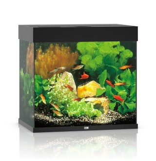 Акваріумний набір Juwel «Lido 120 LED» чорний, прямий (120 л)