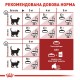 Сухий корм для котів Royal Canin Fit 32, 400 г