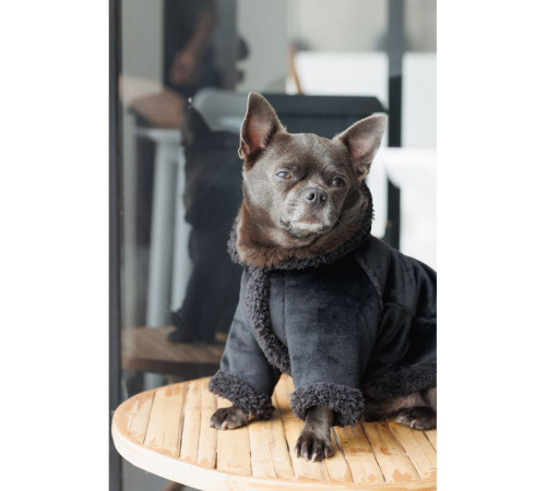 Дублянка для собак Pet Fashion Black ХS