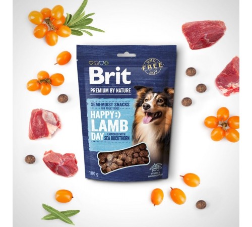 Ласощі для cобак Brit Premium Semi-moist Snacks 180 г - ягня та обліпиха