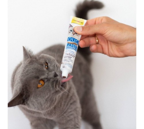 Ласощі для котів GimCat Duo Paste Multi-vitamin 12 vitamins 50 г - тунець
