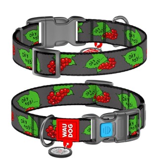 Нашийник WAUDOG Design з QR паспортом і малюнком «Калина» S 23-35 см/15 мм