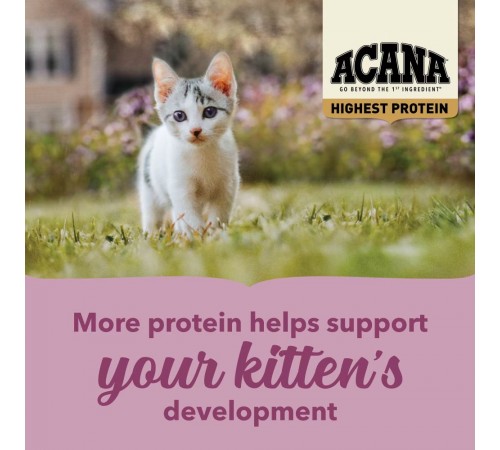 Сухий корм для кошенят Acana Highest Protein Kitten 1,8 кг - асорті