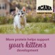 Сухий корм для кошенят Acana Highest Protein Kitten 1,8 кг - асорті