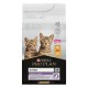 Сухий корм для кошенят Pro Plan Original Kitten Chicken 1,5 кг - курка