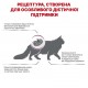 Сухий корм для котів Royal Canin Renal 4 кг