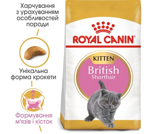Сухий корм для кошенят Royal Canin Kitten British Shorthair 400 г