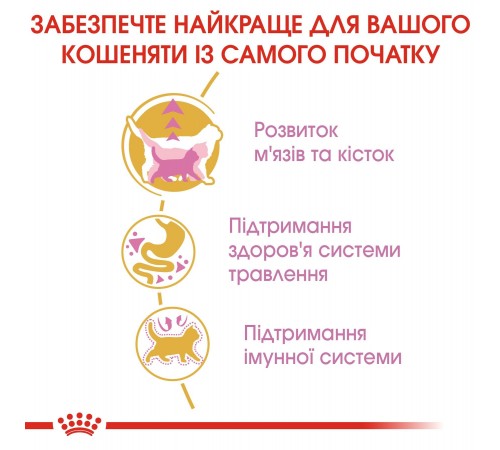 Сухий корм для кошенят Royal Canin Kitten British Shorthair 400 г