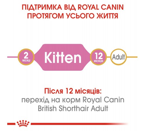 Сухий корм для кошенят Royal Canin Kitten British Shorthair 400 г