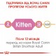 Сухий корм для кошенят Royal Canin Kitten British Shorthair 400 г