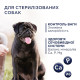 Сухий корм для собак Сlub 4 Paws Premium Adult Small Breeds Light 5 кг - індичка