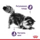 Сухий корм для котів Royal Canin Sterilised Appetite Control 2 кг