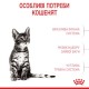 Сухий корм для кошенят Royal Canin Kitten Sterilised 2 кг