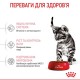 Сухий корм для кошенят Royal Canin Kitten Sterilised 2 кг