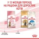 Сухий корм для кошенят Royal Canin Kitten Sterilised 2 кг