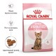 Сухий корм для кошенят Royal Canin Kitten Sterilised 2 кг