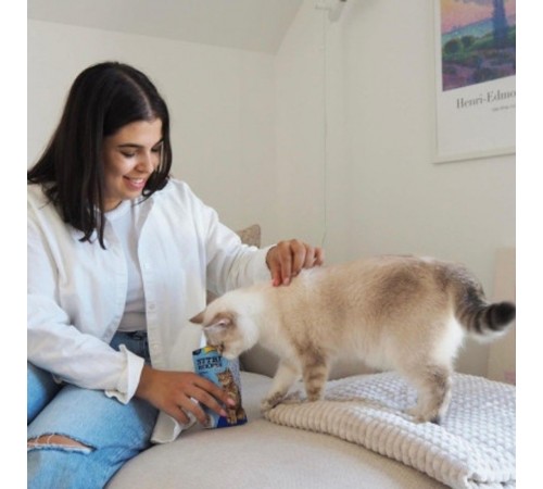 Вітамінні ласощі для котів GimCat Nutri Pockets Лосось + Мультивітамін 60 г