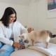 Вітамінні ласощі для котів GimCat Nutri Pockets Лосось + Мультивітамін 60 г