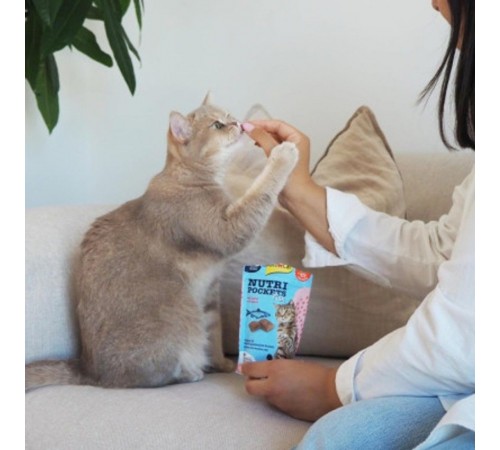 Вітамінні ласощі для котів GimCat Nutri Pockets Лосось + Мультивітамін 60 г