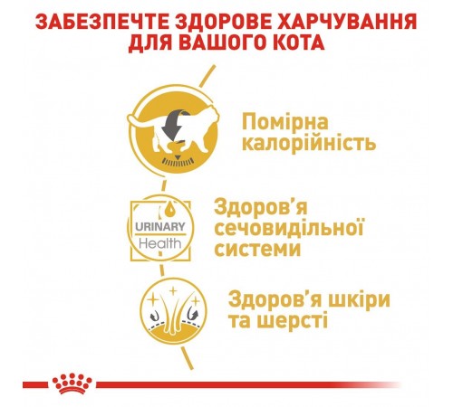 Вологий корм для котів породи британська короткошерста Royal Canin British Shorthair Adult Gravy pouch 85 г