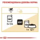Вологий корм для котів породи британська короткошерста Royal Canin British Shorthair Adult Gravy pouch 85 г