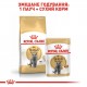 Вологий корм для котів породи британська короткошерста Royal Canin British Shorthair Adult Gravy pouch 85 г
