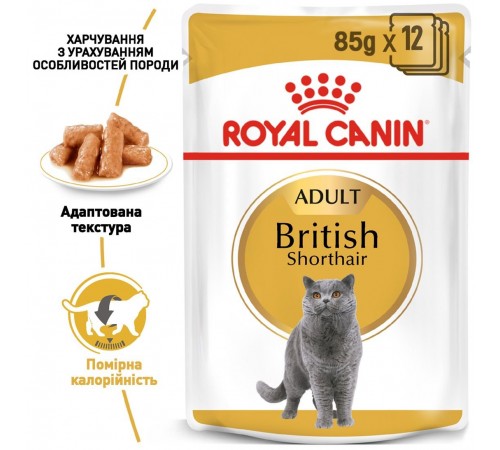 Вологий корм для котів породи британська короткошерста Royal Canin British Shorthair Adult Gravy pouch 85 г