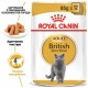 Вологий корм для котів породи британська короткошерста Royal Canin British Shorthair Adult Gravy pouch 85 г