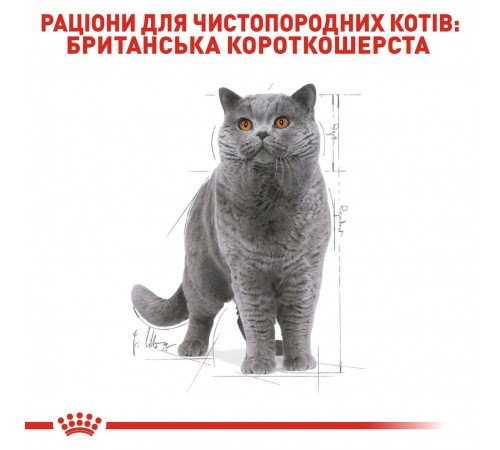 Вологий корм для котів породи британська короткошерста Royal Canin British Shorthair Adult Gravy pouch 85 г