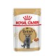 Вологий корм для котів породи британська короткошерста Royal Canin British Shorthair Adult Gravy pouch 85 г
