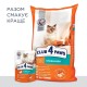 Вологий корм для стерилізованих котів Club 4 Paws Premium 80 г (курка)