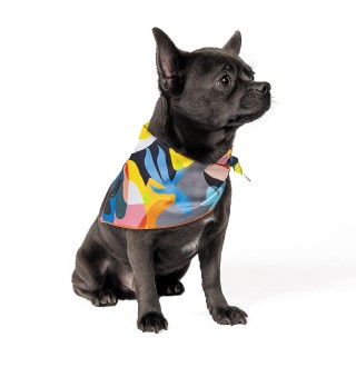 Бандана для собак Pet Fashion «WEEKEND» XS-S
