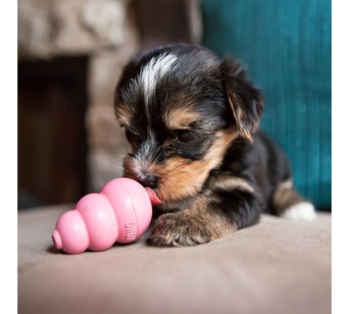 Іграшка для цуценят груша-годівниця Kong Puppy 5,72 см XS