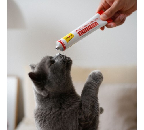 Ласощі для котів GimCat Multi-Vitamin Paste Extra 200 г - мультивітамін