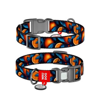 Нашийник для собак Collar WAUDOG Nylon M
