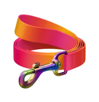 Повідець для собак Collar Waudog Nylon Recycled S - помаранчевий