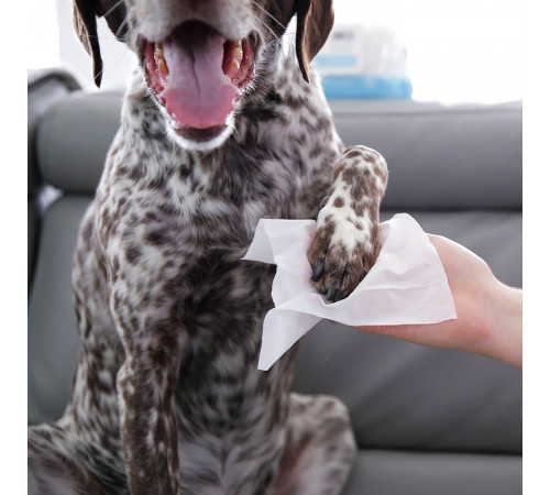 Серветки для собак Furrish Bath Wipes 100 шт - без запаху
