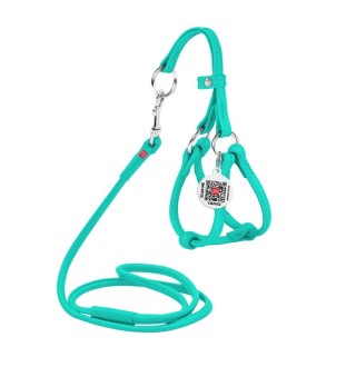 Шлея з повідцем для cобак COLLAR WOUDOG Натуральна Шкіра XXS - ментолова