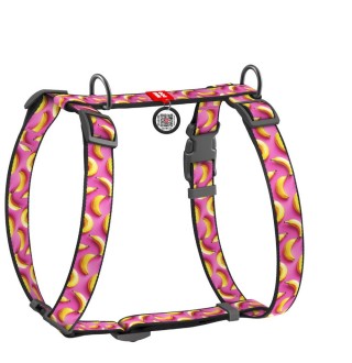 Шлея для собак Collar WAUDOG Nylon S