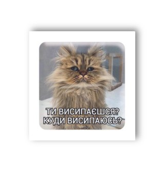 Стікер-3D Tatooshka Сонний кіт