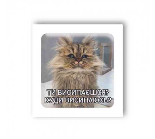 Стікер-3D Tatooshka Сонний кіт